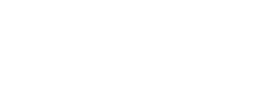 Logo THWS
