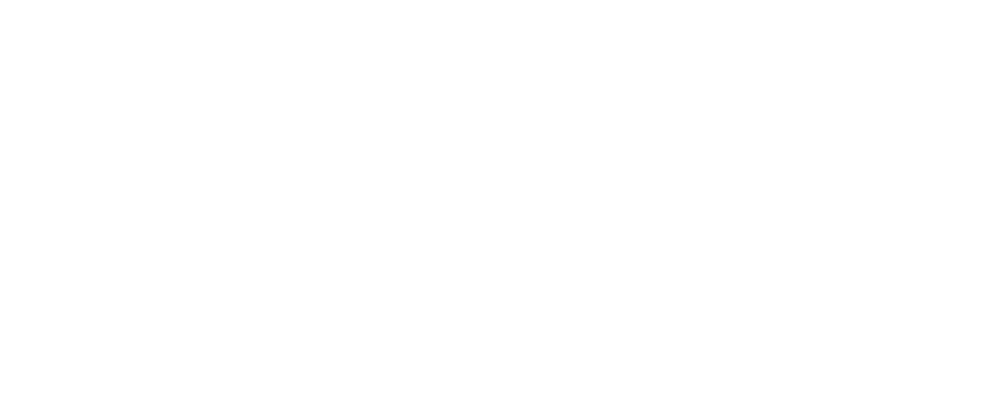 Logo Sportbrain