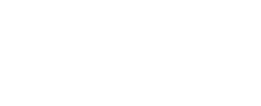 Logo pd next